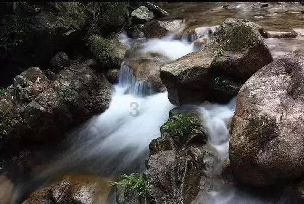 拿破仑：全面战争
